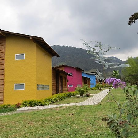 Gallito De Las Rocas Guest House Jardín Exteriér fotografie