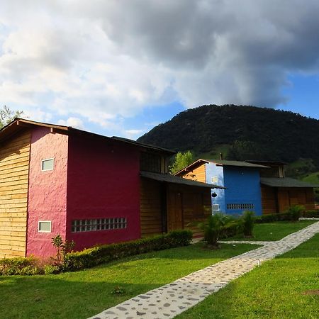 Gallito De Las Rocas Guest House Jardín Exteriér fotografie