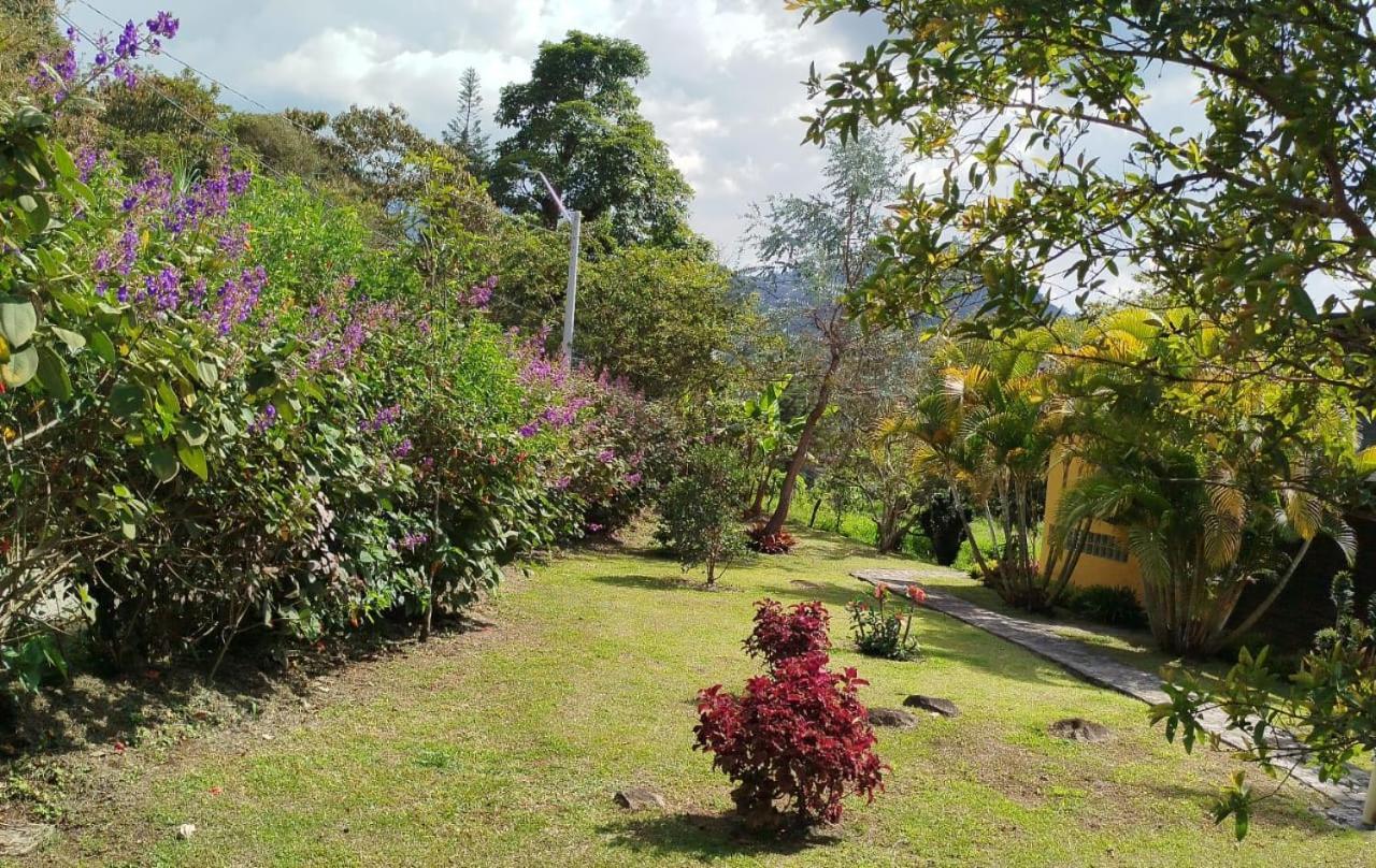 Jardin Utopia Exteriér fotografie